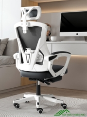 Ghế công thái học văn phòng hiện đại - GH 01