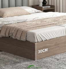 Giường ngủ hiện đại gỗ công nghiệp - GN 84