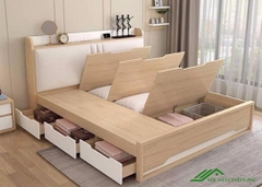 Giường Ngủ Hiện Đại Đa Năng - GN 04