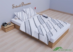 Giường Ngủ Decor Không Đầu 1m6 - GN 36
