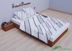 Giường Ngủ Decor Không Đầu 1m6 - GN 36