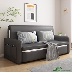 Giường sofa gấp gọn hiện đại - SF 58