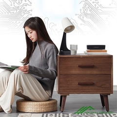 Tủ đầu giường thanh lịch - DG 14