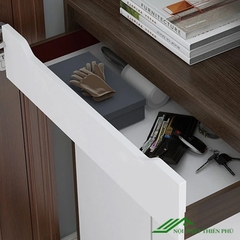 Tủ để giày thiết kế đơn giản đẹp mắt - TG 40