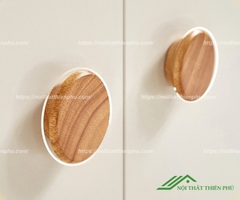 Tủ quần áo mini bằng gỗ công nghiệp cho bé - QA 115