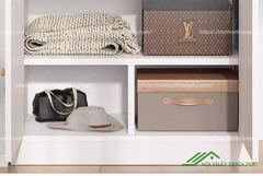 Tủ treo quần áo mini - QA 100