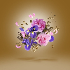 XERJOFF ALEXANDRIA II ANNIVERSARY