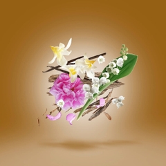 XERJOFF ALEXANDRIA III