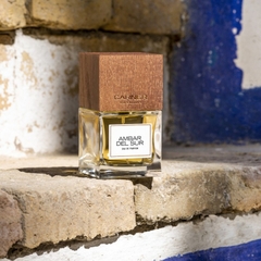 CARNER BARCELONA AMBAR DEL SUR