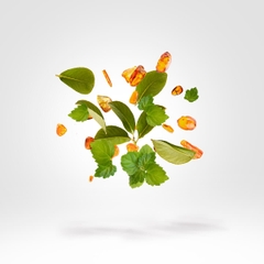 XERJOFF AMBER GOLD & ROSE GOLD