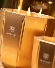 Dr. Vranjes Candle Rosso Nobile - Gold Vase