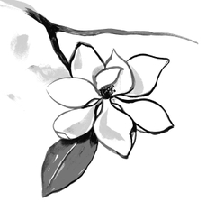 Frederic Malle Candle - Jurassic Flower -  220g