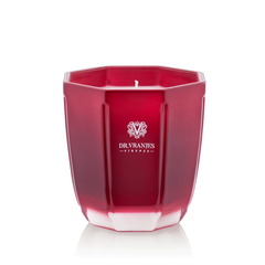 Dr. Vranjes Candle Rosso Nobile - Tourmaline Vase