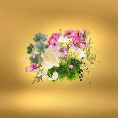 CASAMORATI CASA FUTURA