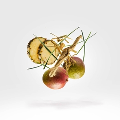 XERJOFF CRUZ DEL SUR II