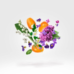 CASAMORATI DAMA BIANCA