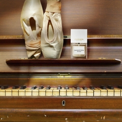 CARNER BARCELONA DANZATORIA