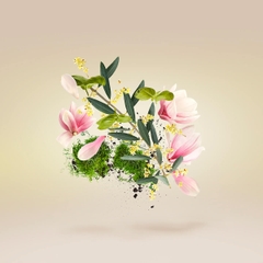 CASAMORATI FIORE D'ULIVO