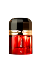 RAMON MONEGAL FLAMENCO