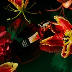 XERJOFF GOLDEN GREEN