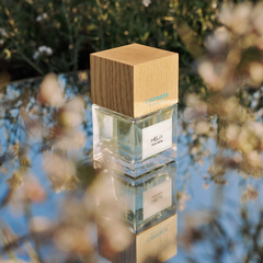 CARNER BARCELONA HELIX