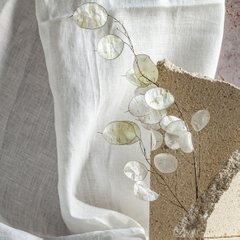 ThoO - Hidden Shades