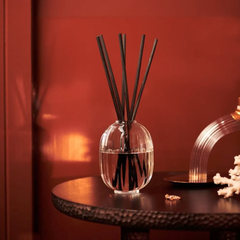 Diptyque Home Fragrance Diffuser - Baies