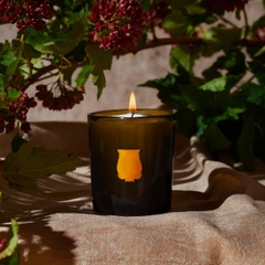 Trudon Candle Josephine