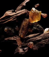 Kilian Sacred Wood - Icon Set