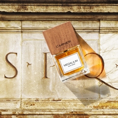 CARNER BARCELONA MEGALIUM