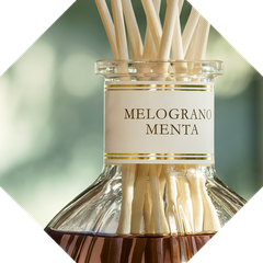 Dr. Vranjes Diffuser Melograno Menta