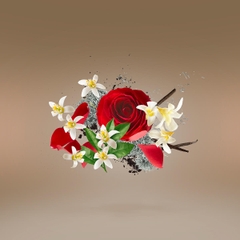 XERJOFF PIKOVAYA DAMA