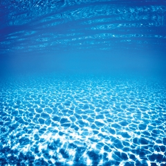 Maison Margiela PFM Replica Sailing Day