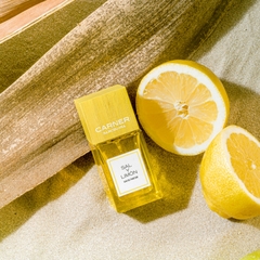 CARNER BARCELONA SAL Y LIMON