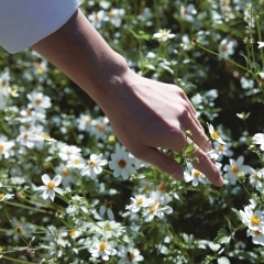 Maison Margiela PFM Replica Springtime In A Park