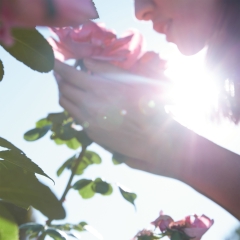 Maison Margiela PFM Replica Springtime In A Park