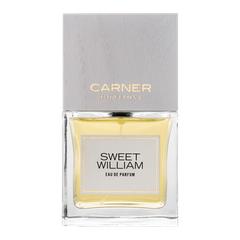 CARNER BARCELONA SWEET WILLIAM