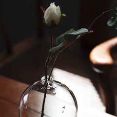 [Hoa Thủy Tinh]
