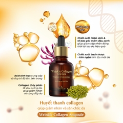 T29 Tinh chất collagen giúp giảm nhăn và săn chắc da Wrinkle Collagen Ampoule - The Skin House