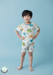 Bộ Pijama cộc tay Olomimi bé trai Nice Dino