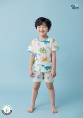 Bộ Pijama cộc tay Olomimi bé trai Nice Dino