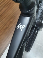 Xe đạp bánh béo GIANT STP 24 2022