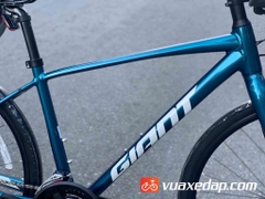 GIANT ESCAPE 1 2022