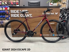 GIANT 2024 ESCAPE 2D