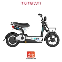 Xe đạp điện GIANT M133R 2024 (4 BÌNH)