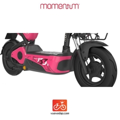Xe đạp điện GIANT M133R 2024 (4 BÌNH)