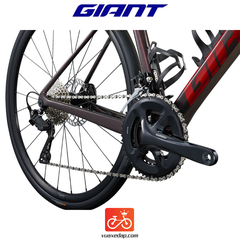 GIANT Defy Advanced 2 2024