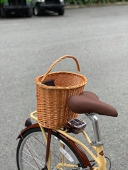 Xe đạp nữ Vinabike Ineed Latte-V 26 inch