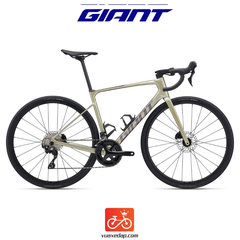 GIANT Defy Advanced 2 2024