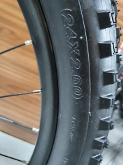 Xe đạp bánh béo GIANT STP 24 2022